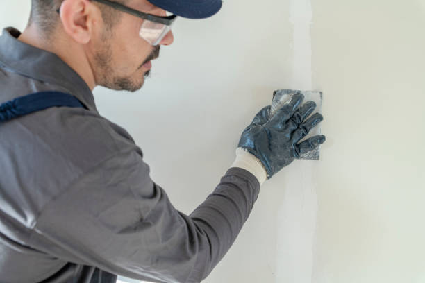 Best Commercial Painting  in Chilhowie, VA